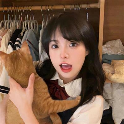 白狼